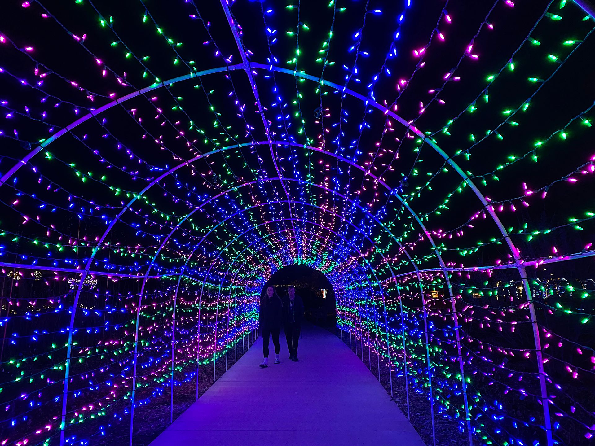 A lit-up walk-through tunnel at Reiman Garden's Winter Wonderscape Holiday Light Show.