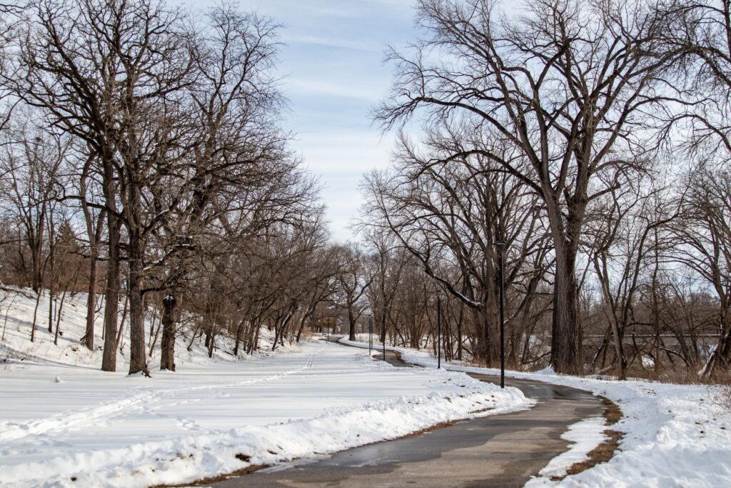 A winter's day at Brookside Park in Ames, Iowa.