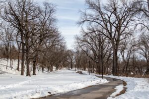 A winter's day at Brookside Park in Ames, Iowa. 
