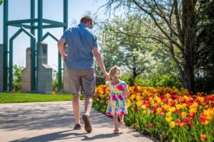 A father and daughter stroll through the tulips at Reiman Gardens. 