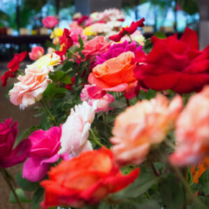 Events Calendar - Discover Ames