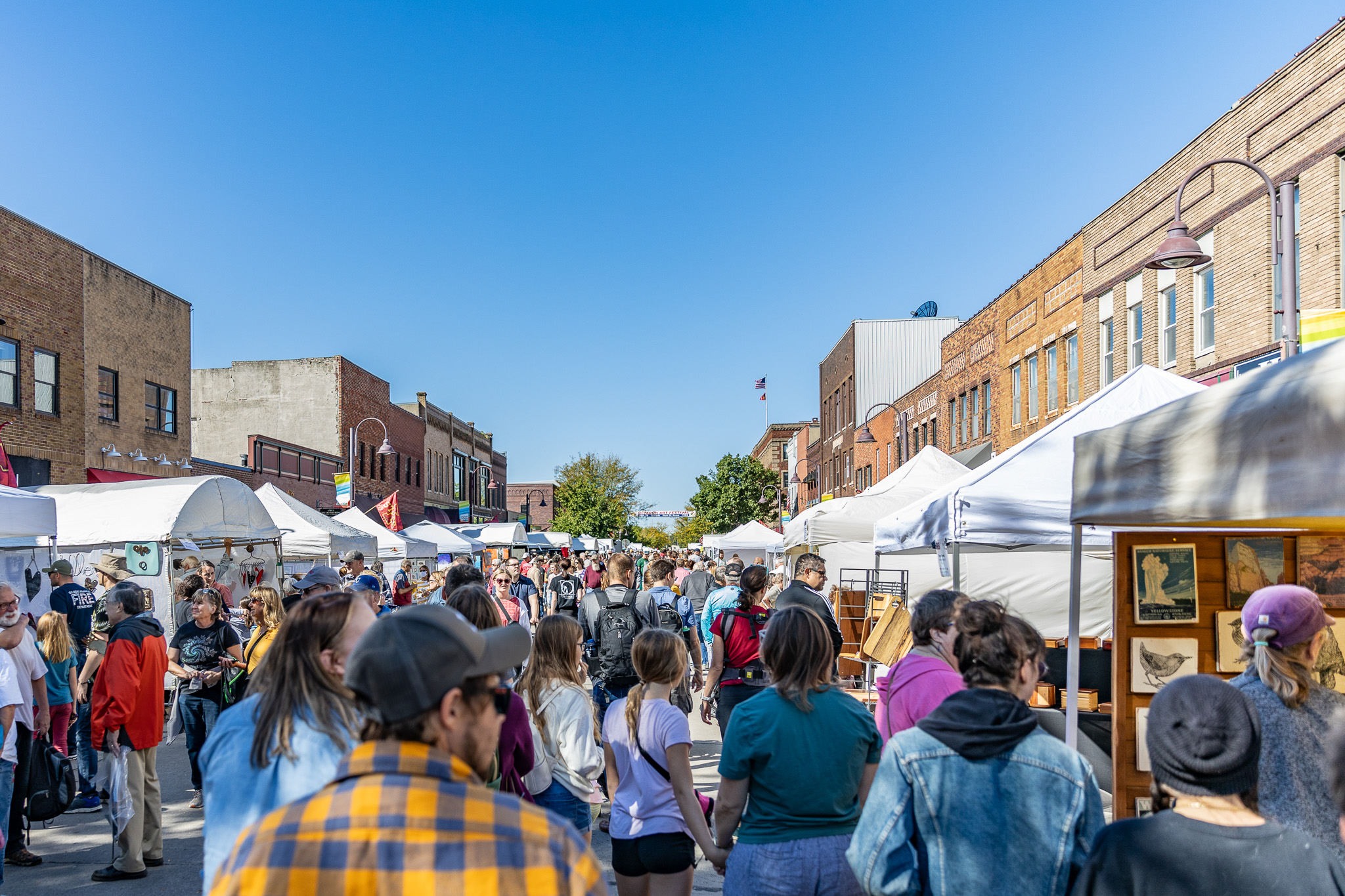 Octagon Art Festival