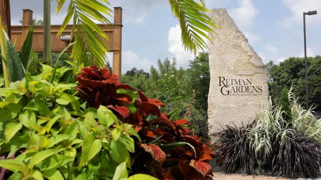 Reiman Gardens stone and plants