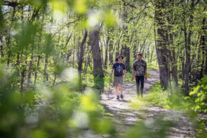 scenic walk through the park