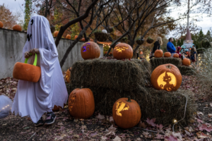 pumpkin ghost kid at spirits in the reiman gardens during the fall