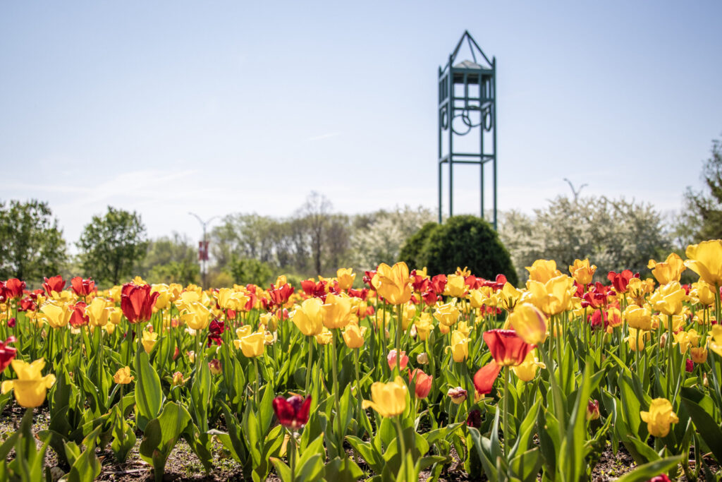 Spring blooms at Reiman Gardens