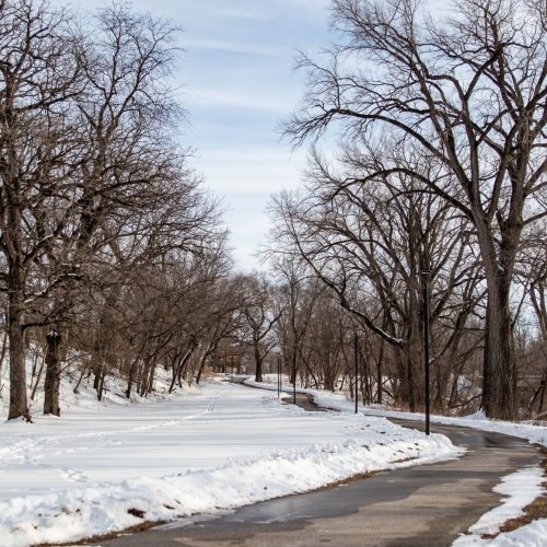 A winter's day at Brookside Park in Ames, Iowa.