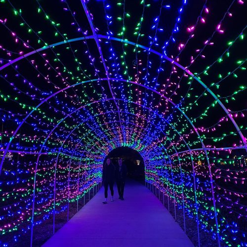 A lit-up walk-through tunnel at Reiman Garden's Winter Wonderscape Holiday Light Show.